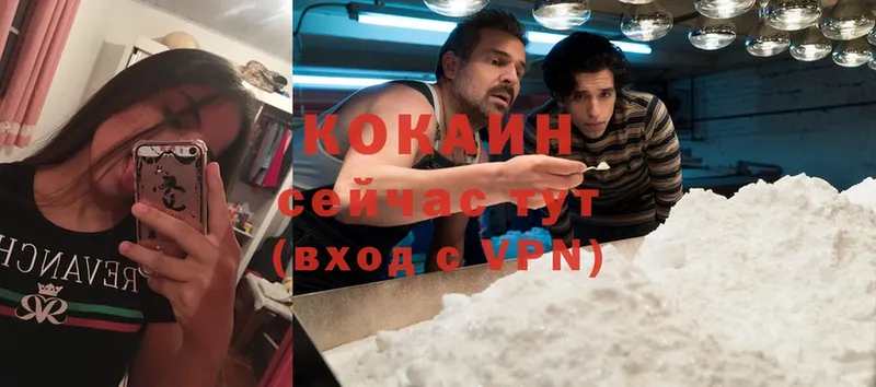 закладки  Родники  COCAIN Эквадор 